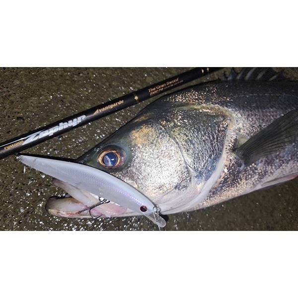 ワイドシーカー